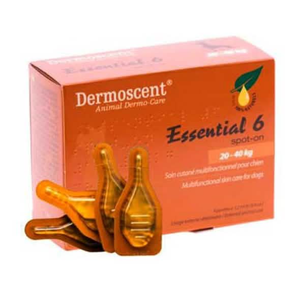 Essential 6 spot on cane 20/40 kg 4 pipette 2,4 ml - Scodinzolando