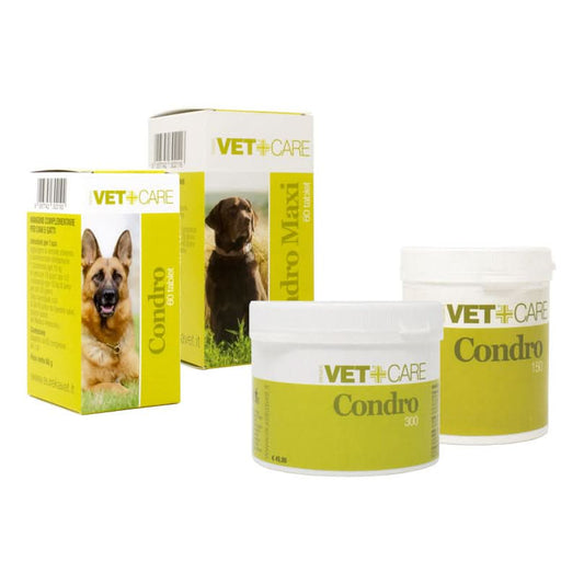 Vetcare condro 300g