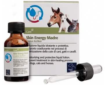Skin energy madre croton 20 ml