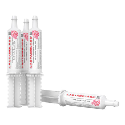Lactabolase gel orale siringa 100 g