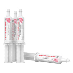 Lactabolase gel orale siringa 100 g
