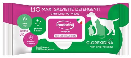 Inodorina salviette everyday clorexidina 110 pezzi