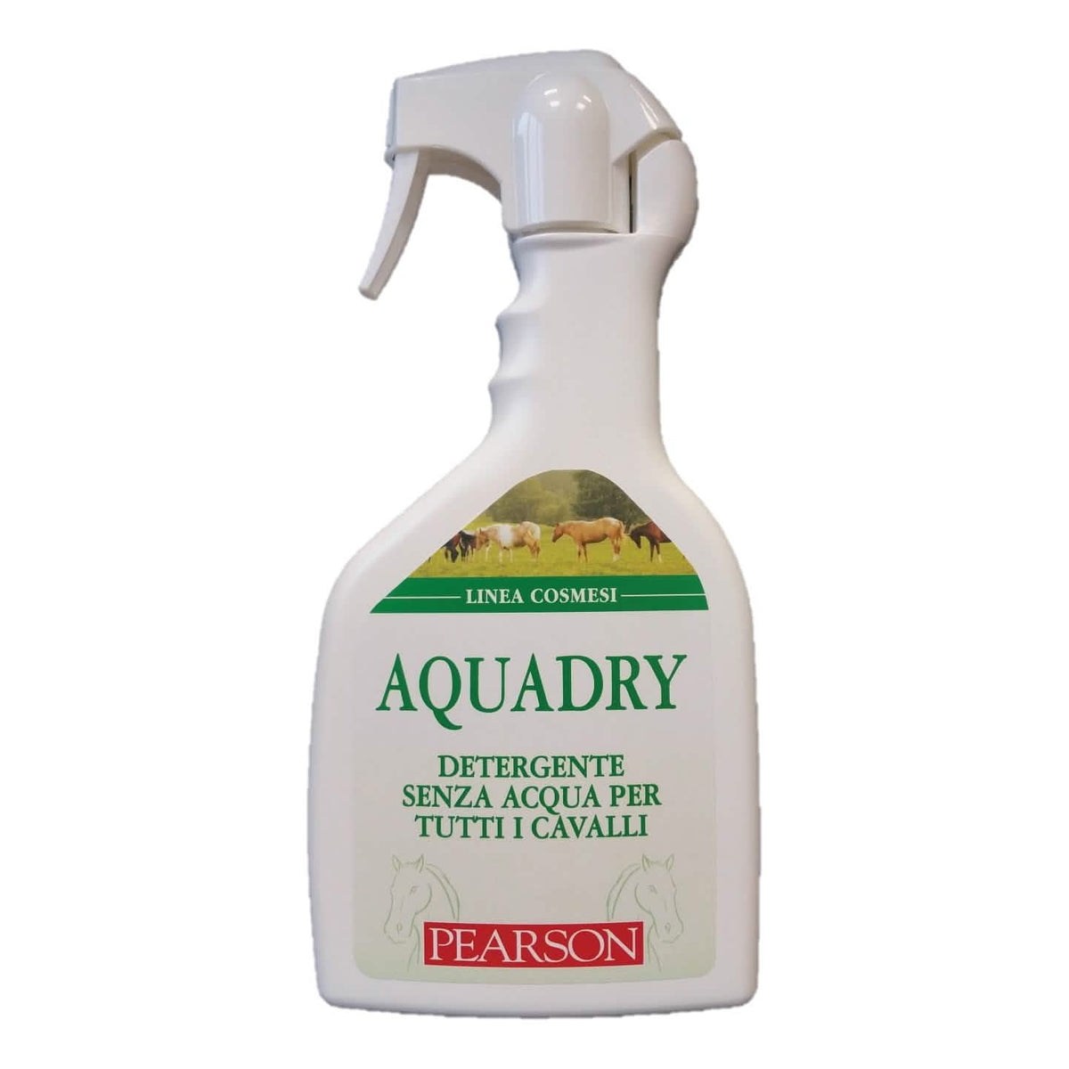 Aqua Dry Detergente Senza Acqua 700ml