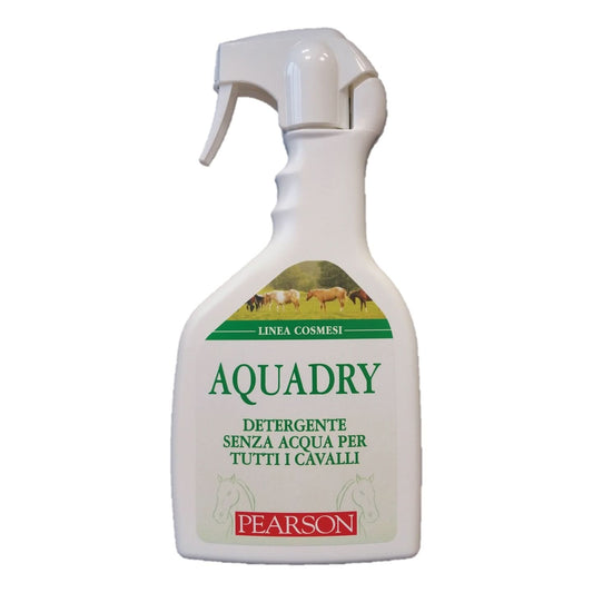Aqua Dry Detergente Senza Acqua 700ml