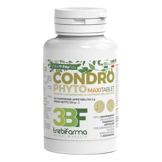 Condrophyto 60 compresse 2 g