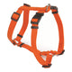 Camon pettorina h ny f025/08 arancio 15mm circolare 45cm