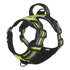 975850797