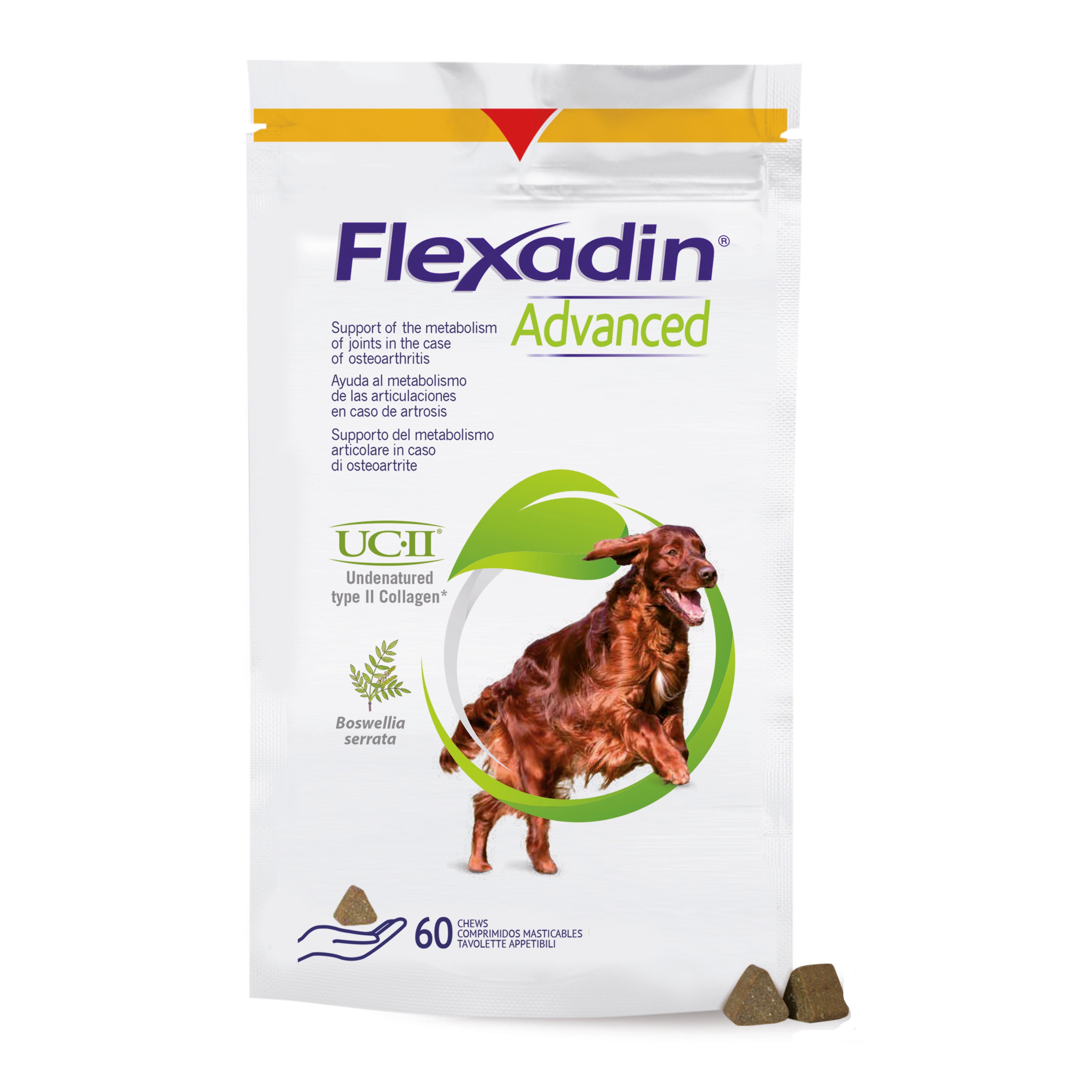 Flexadin advanced cane tutte le taglie 60 tavolette appetibili - Scodinzolando