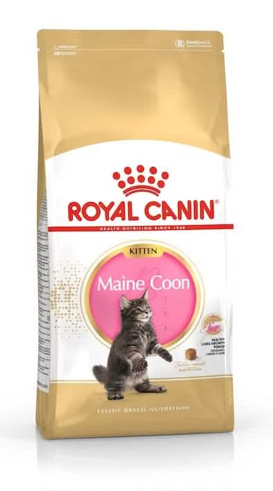 Feline breed nutrition maine coon kitten 2 kg