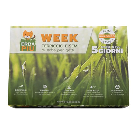Week erba piu' kit semina