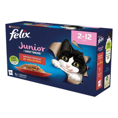 Felix le ghiottonerie junior 85 g