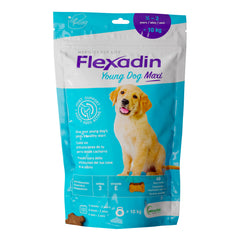 Flexadin young maxi 60 tavolette appetibili - Scodinzolando