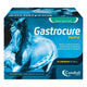 Gastrocure 24 siringhe preriempite mangime complementare in pasta cavalli
