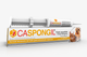 Caspongil pasta 30 g