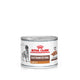 Veterinary health nutrition wet dog gastrointestinal low fat 200 g