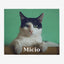 Coperta personalizzata con foto del gatto e nome Micio