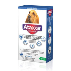 Ataxxa Spoton*4pip 25-40kg - Scodinzolando