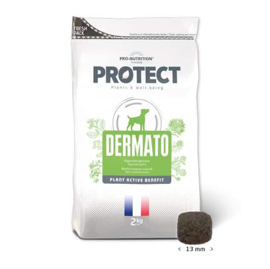 FLATAZOR PROTECT CANE DERMATO 12 KG