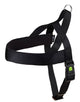 CANE PETTORINA MIAMI PLUS 80-100 CM NERO