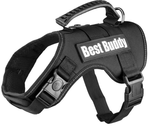 Cane Pettorina in Nylon con Imbottitura Best Buddy Uranus - Nero