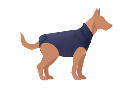 CAMON CANE TUTINA POST OPERATORIA EXCLUSIVE TG. 40 BLU