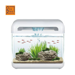 MANTOVANI PESCI ACQUARIO DERBY BIANCO 15 LT