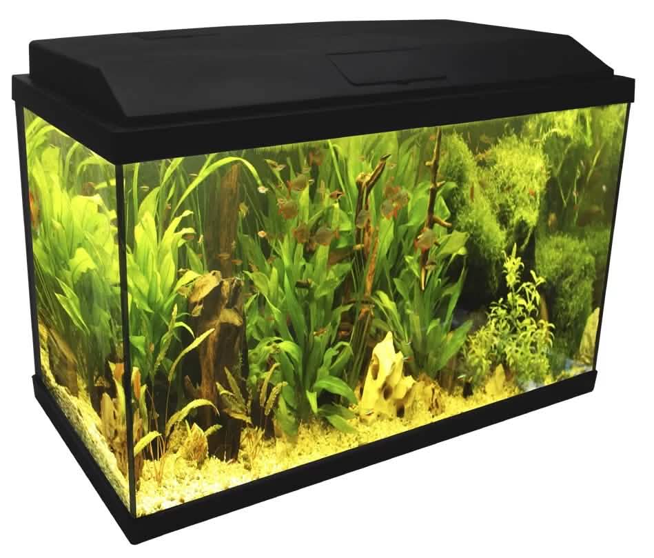 MANTOVANI PESCI ACQUARIO GENIUS NERO 60 LT