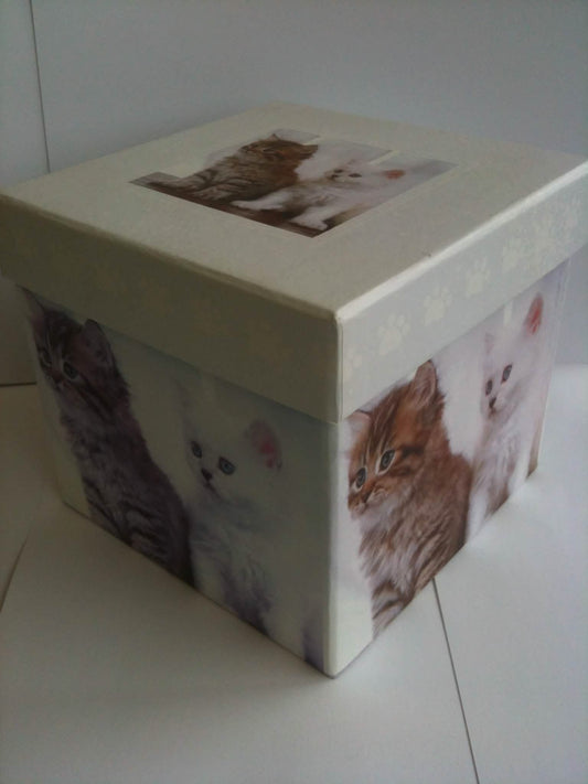 SCATOLA GATTINI 13X13X12CM
