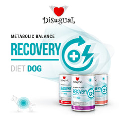 DISUGUAL CANE DIET RECOVERY AGNELLO 400 GR