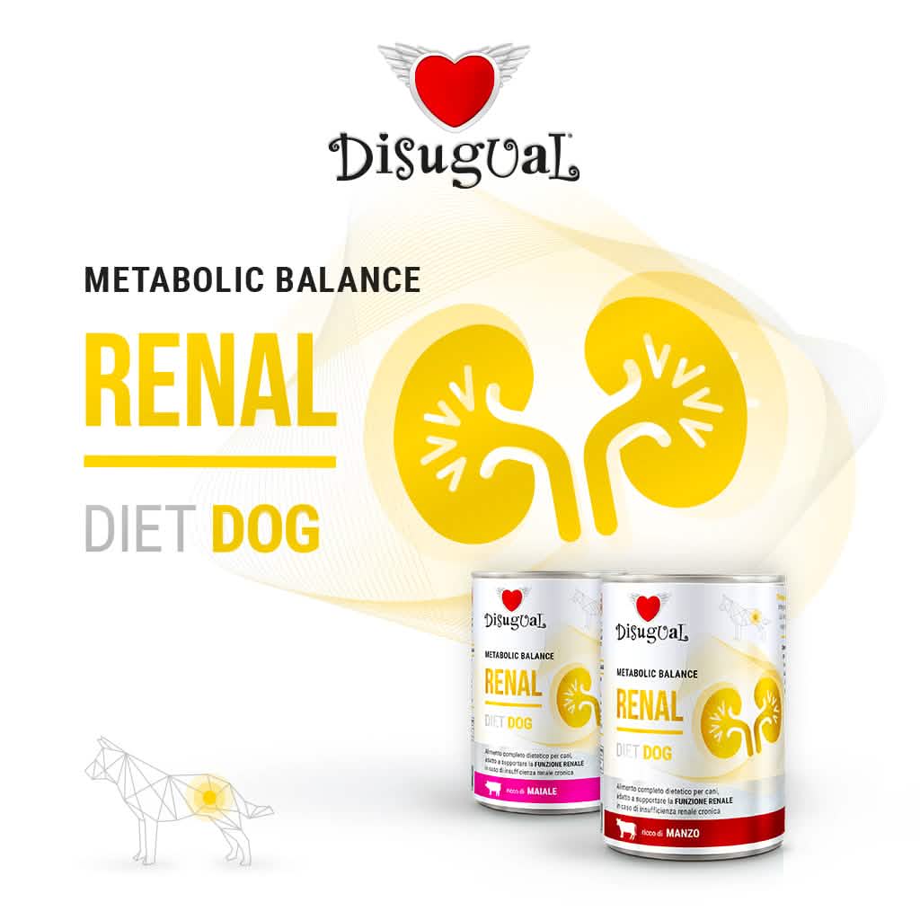 DISUGUAL CANE DIET RENAL MANZO 400 GR