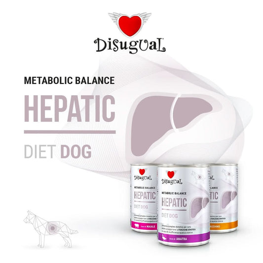 DISUGUAL Cane Diet Hepatic Tacchino 400 gr