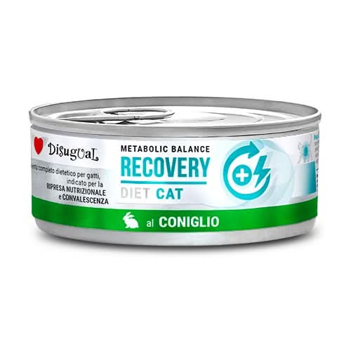 DISUGUAL GATTO DIET RECOVERY CONIGLIO 85 GR