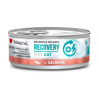 DISUGUAL GATTO DIET RECOVERY SALMONE 85 GR