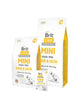 BRIT CARE CANE MINI GRAIN FREE HAIR&SKIN SALMON&HERRING 2 KG