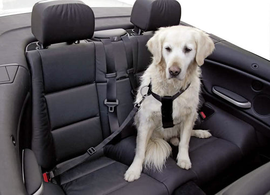 CANE PETTORINA REGOLABILE PER AUTO KERBL TG. L NERO
