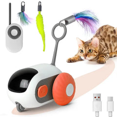 Giocattolo Smart per gatti e cani con telecomando elettrico intelligente