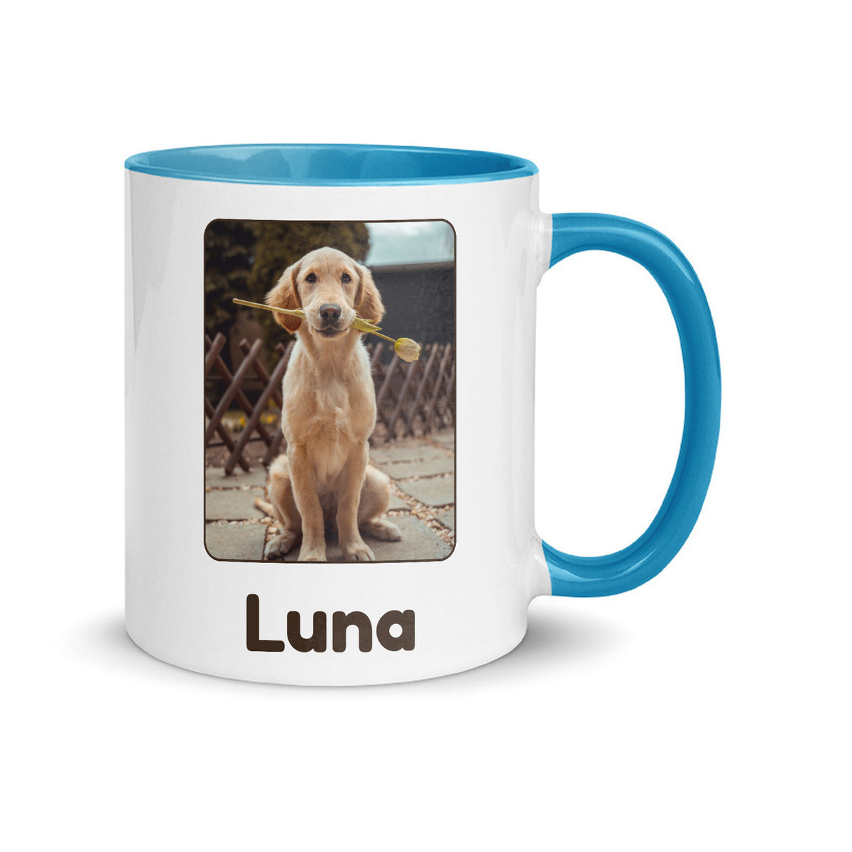 Tazza personalizzata con la foto del tuo animale e il nome, interno azzurro