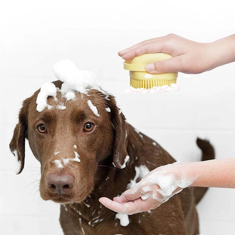 Accessori per animali domestici Shampoo spazzola per massaggi per cani  cucciolo di gatto massaggio pettine spazzola per doccia per toelettatura  per il bagno spazzole in Silicone morbido - AliExpress